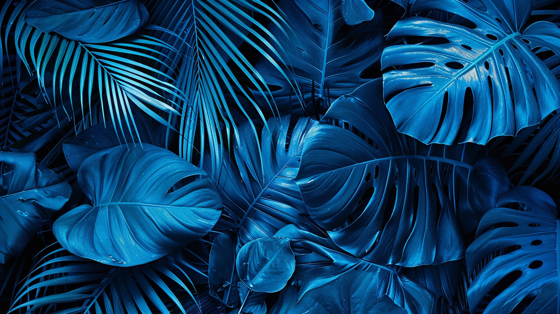 Serene Blue Palm Tree Desktop Background