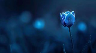 4K Blue Tulip AI Image Desktop Wallpaper