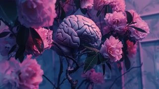 Free Aesthetic Brain Wallpaper for Desktop