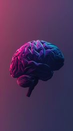 Stunning Brain Anatomy Digital Wallpaper