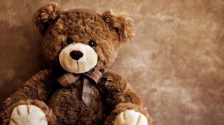 Brown Teddy Bear Digital Background in HD