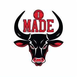 Reversed Bulls Logo: Flipping Traditions