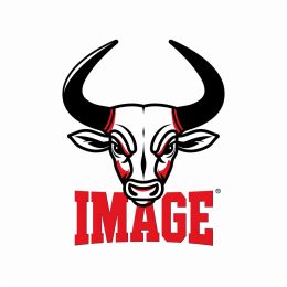 Bulls Logo Reversed: Playing with Perception