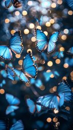 Elegant Butterfly iPhone Background