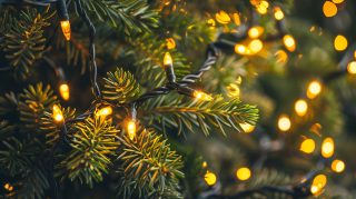 Illuminated Christmas Tree Lights AI HD Pics