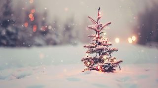 Cute Christmas Tree AI 4K Digital Background