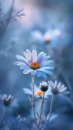 Delightful Daisy Dreams: Charming Smartphone Backgrounds