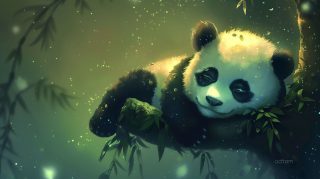 Heartwarming Cute Panda Desktop Wallpaper