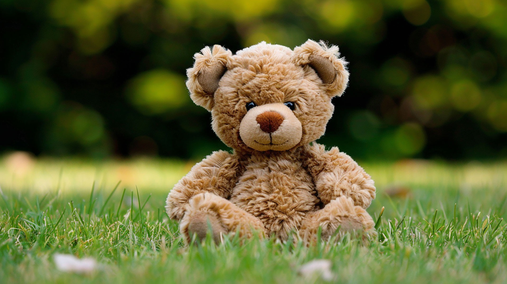 Endearing Teddy Bear AI Wallpaper for Desktop