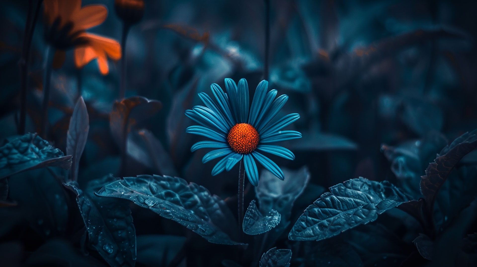 Explore Free Daisy AI Wallpapers