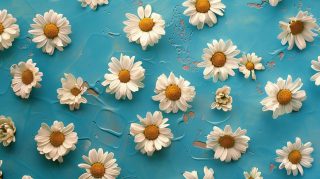 Download Free Daisy AI HD Pics for Desktop