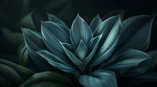 Explore Dark Teal AI Images: HD Wallpaper