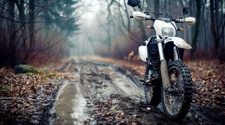 Forest Dirt Bike Trail: Ultra HD AI Wallpaper