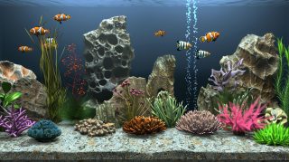 Dynamic Fish Tank AI Wallpaper Images