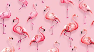 Flamingo AI: High-Resolution Desktop Backgrounds