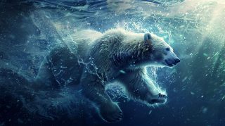 Ice Bear in Arctic AI Image Ultra HD