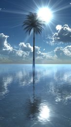 Sunset Shoreline: Palm Tree AI Image for LG Devices