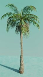 Seaside Serenity: Palm Tree AI Wallpaper for Xiaomi