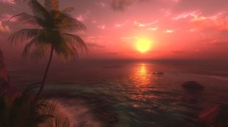 Sunset Serenity: Palm Tree Digital Wallpaper