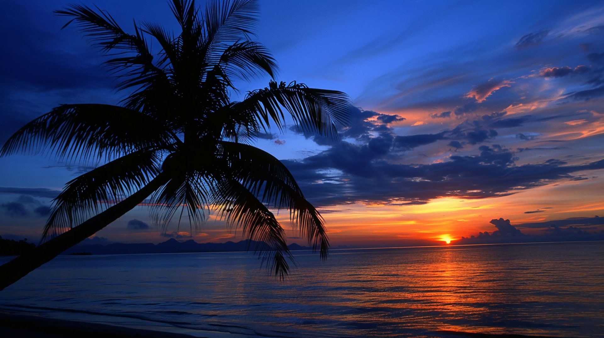 Sundown Reflection: Palm Tree Desktop Background