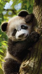 Playful Panda Cub AI Wallpaper for Samsung Galaxy