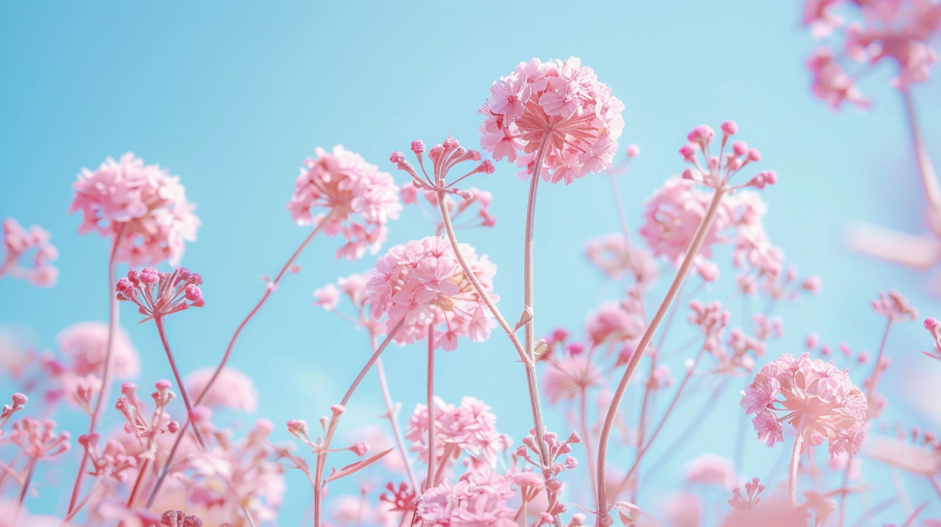 Lovely Pastel Aesthetic Cute Digital Wallpaper