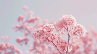 Soft Pastel Pink Aesthetic AI Wallpaper