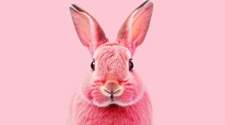 Digital Pink Bunny AI Image: Cheerful Desktop Wallpaper