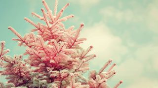 Pink Christmas Tree AI HD Digital Wallpaper