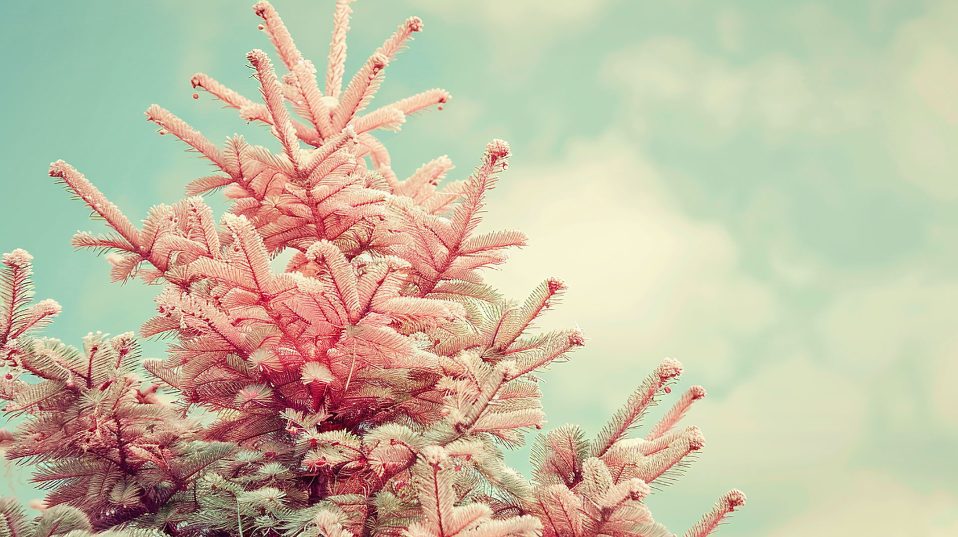 Pink Christmas Tree AI HD Digital Wallpaper