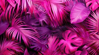 Pink Paradise: Palm Tree Desktop Background