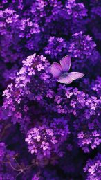 Purple Butterfly Dreams Lock Screen Wallpaper