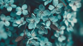 Dive into Teal Aesthetic AI Images: HD Wallpaper