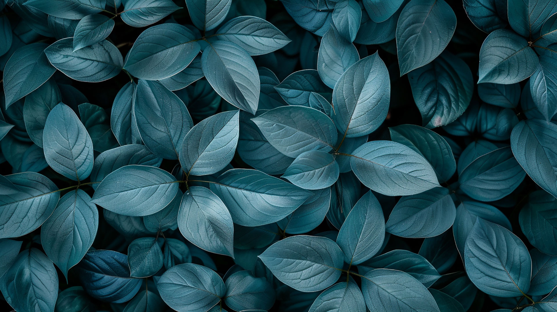 Delve into Teal Aesthetic AI Images: HD Wallpaper