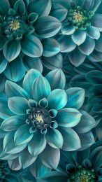 Google Pixel Teal Flower AI Mobile Wallpaper: HD Collection