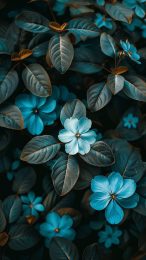 Samsung Galaxy Teal Flower AI Mobile Wallpaper: HD Images