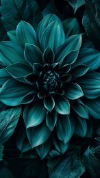 iPhone Teal Flower AI Mobile Wallpaper: HD Collection