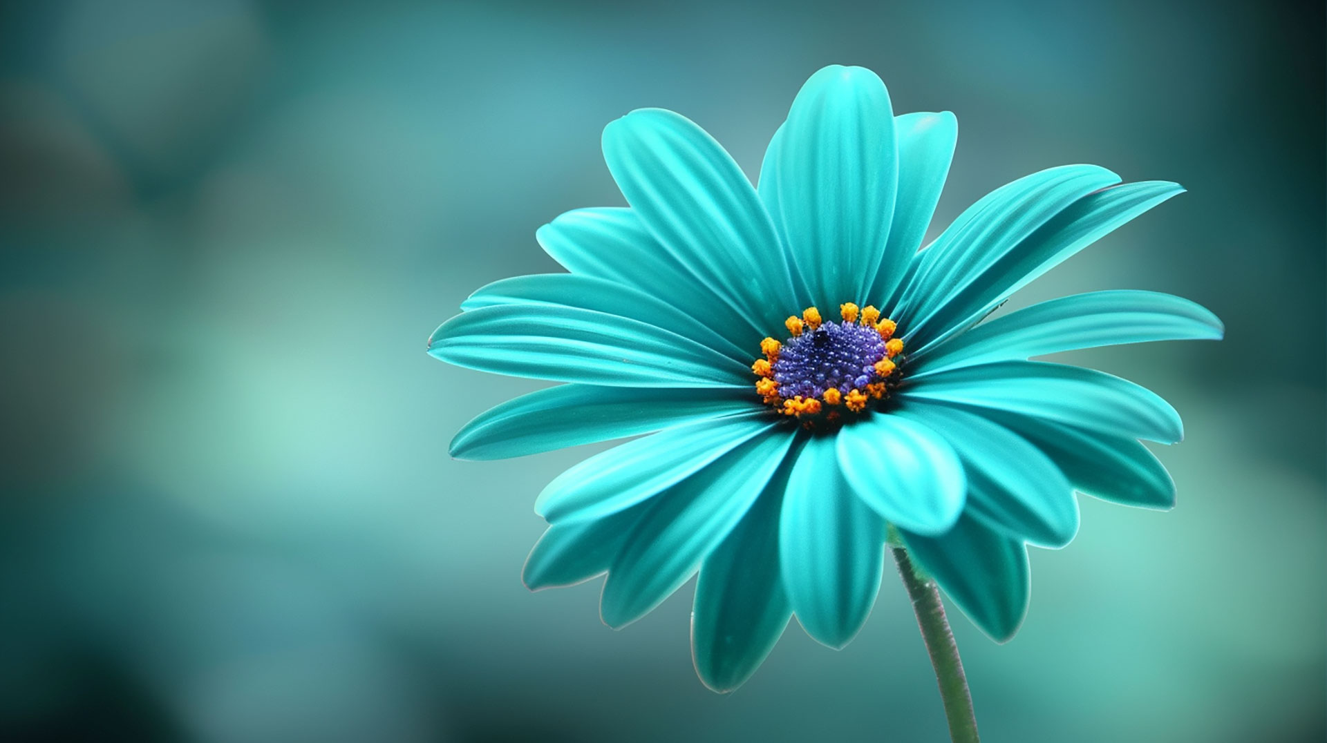 Serenity in Teal Flower AI Desktop Backgrounds