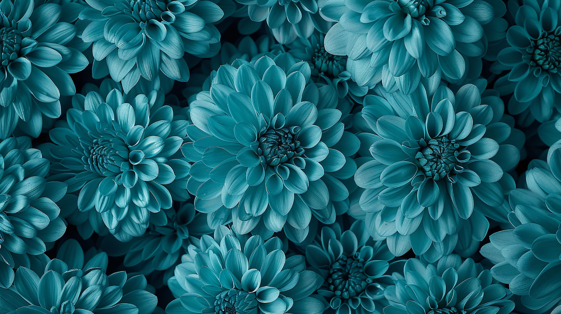 Teal Flower AI Desktop Wallpaper: HD Collection