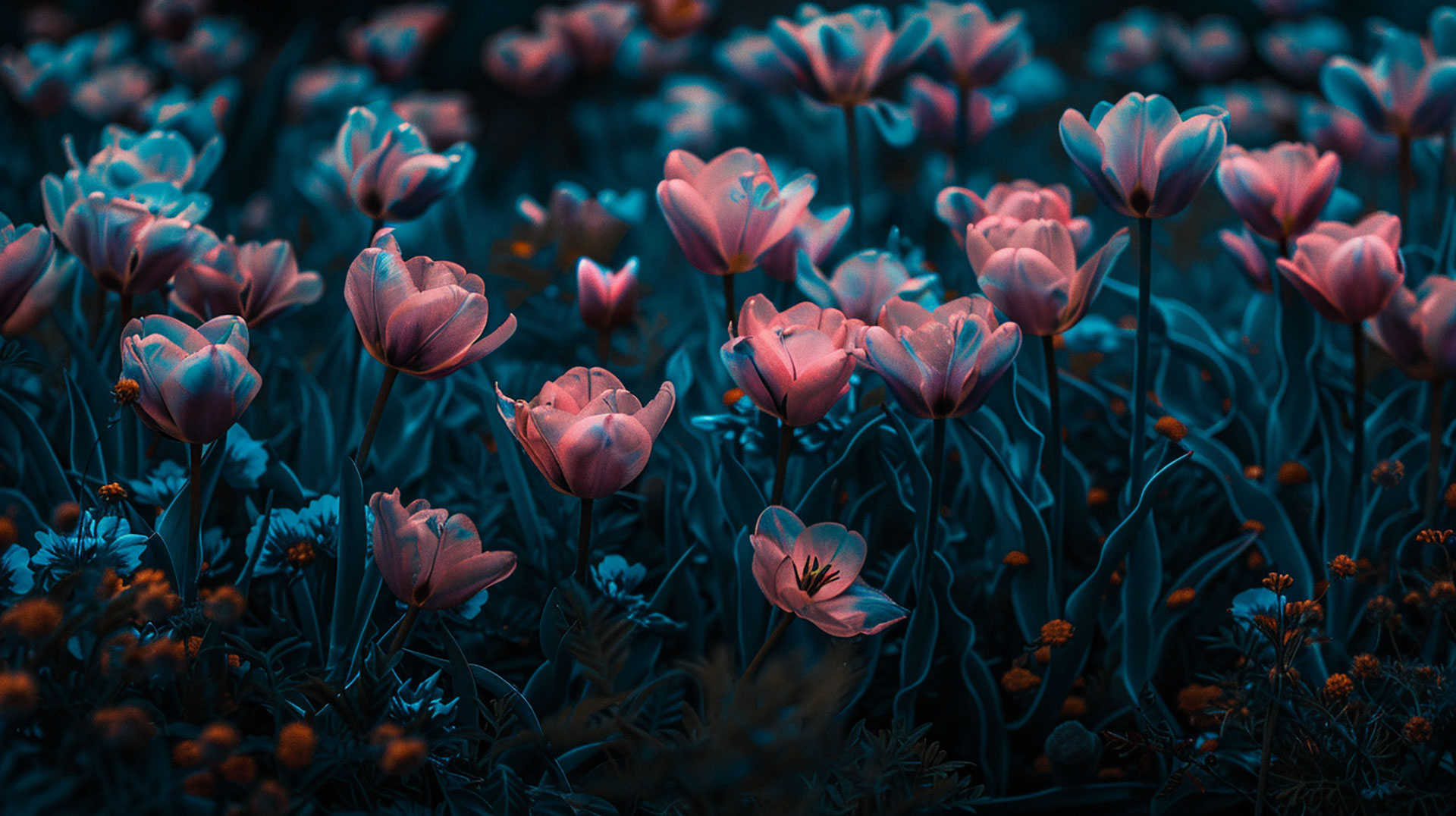 Download Free AI Tulip Aesthetic HD Pics