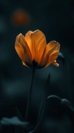 8K Tulip AI Mobile Wallpaper for Ultra HD Screens