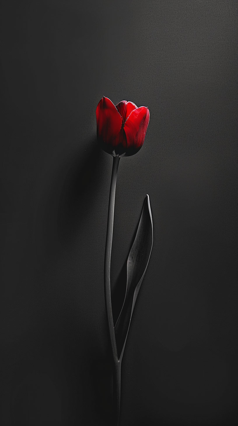 Ultra HD Tulip AI Mobile Background Download