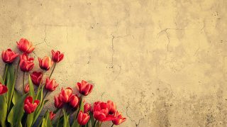 4K Vintage Tulips AI Image Desktop Wallpaper