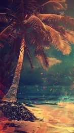 Free HD Beach Palm Tree Image for iPhone Users