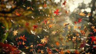 Whimsical Falling Leaves Desktop Image