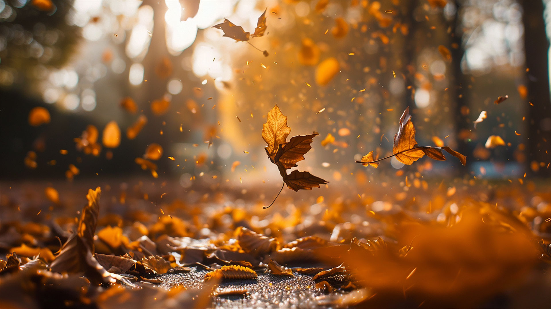 Serene Falling Leaves Wallpaper