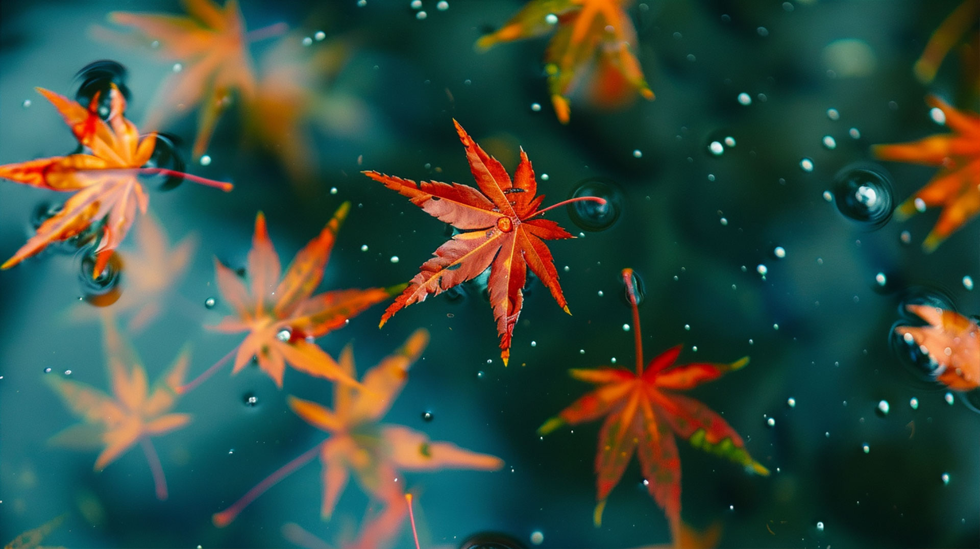 HD Falling Leaves Desktop Background