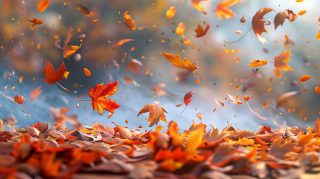 Falling Leaves in Autumn Desktop Wallpaper