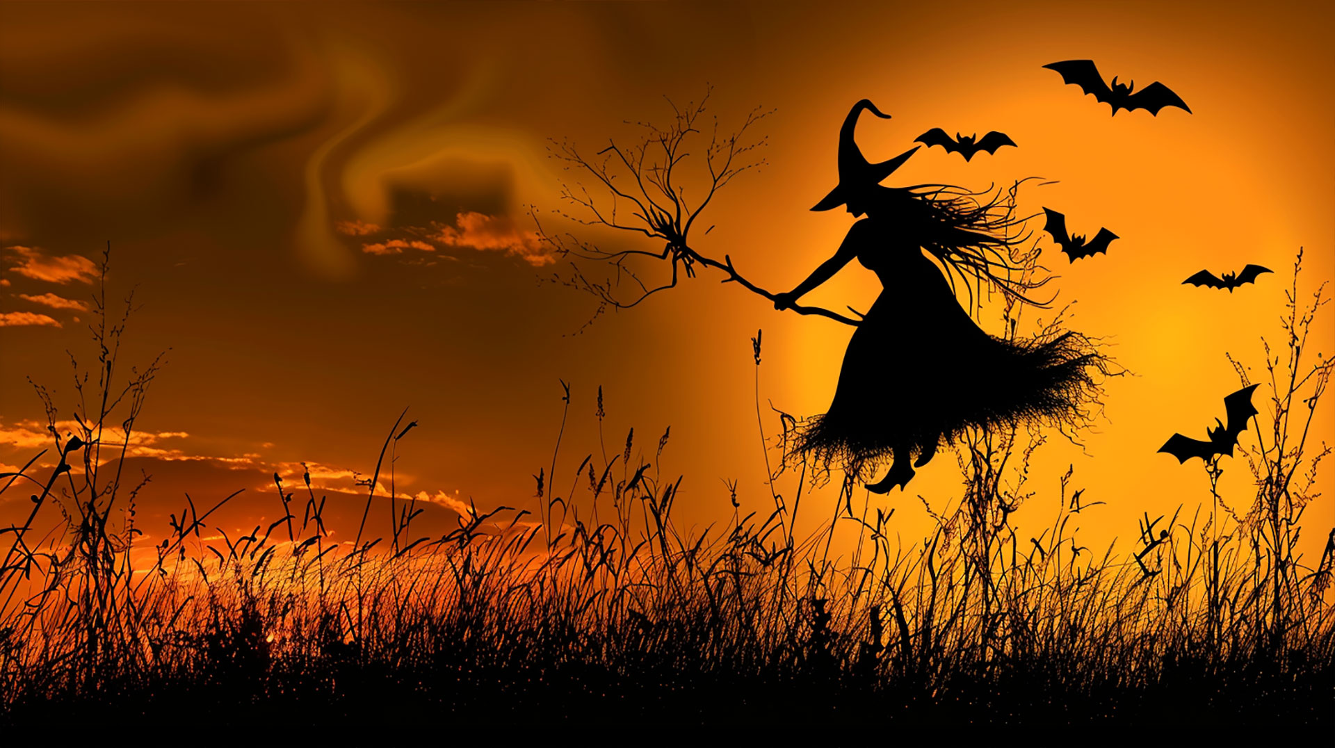 Magical Halloween Witch HD Wallpapers