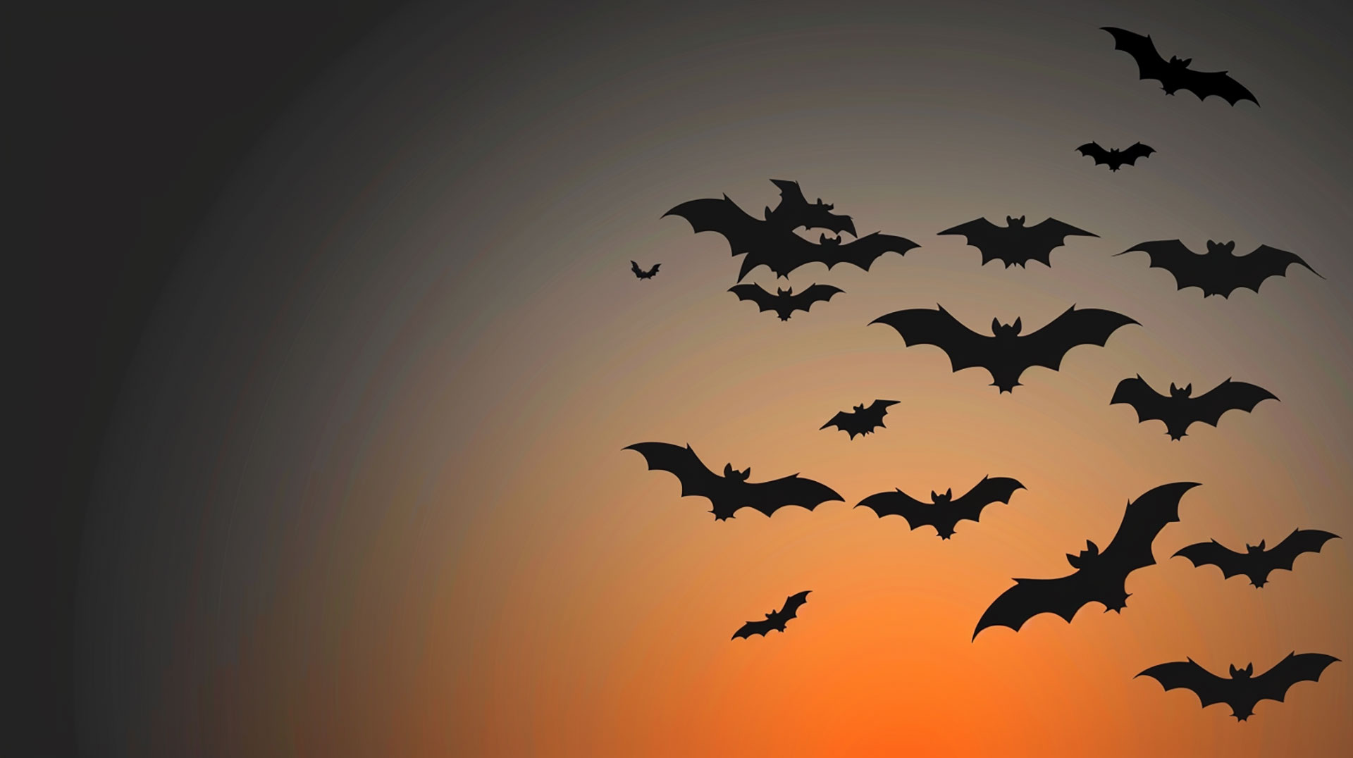 Mystical Bat Silhouettes: Aesthetic Halloween Desktop Art